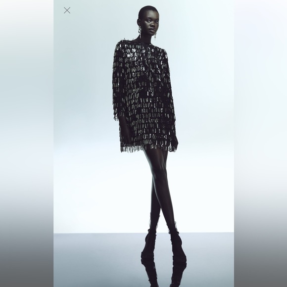 FRINGED SEQUIN MINI SHIFT DRESS - Picture 1 of 7